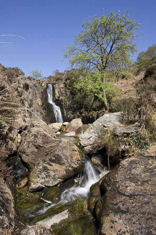 瀑布在Moel y Dyniewyd, Beddgelert附近，Eryri(斯诺登尼亚国家公园)